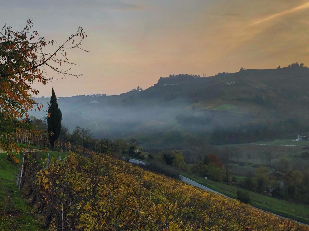 Panoramic Villa Garassino - Country Rooms And Fine Restaurant Treiso Exterior foto